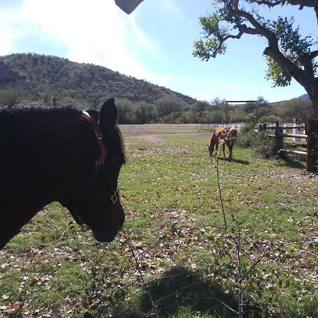 Rancho Santa Cruz Bed and Breakfast Tubac Exteriör bild